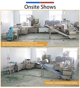 Chaîne de traitement des grains de maïs : Machine de décorticage, blanchiment et séchage à air pour maïs doux, conception industrielle - Product Image 3