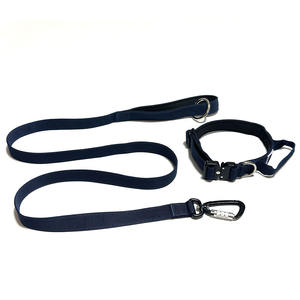 <span class=keywords><strong>Collar</strong></span> de perro de combate acolchado de neopreno suave con asa y hebilla de Metal de lujo personalizado - Product Image 4