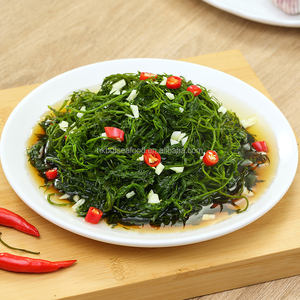 Fournisseur d'usine Matériaux de marmite artisanaux sauvages de haute qualité Algues salées surgelées biologiques naturelles Gulfweed Sargassum 5KG - Product Image 4