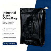 Sacs en PE anti-fuite avec valve, 25 kg, impression flexo multicolore, sacs d'expédition en plastique pour poudres chimiques