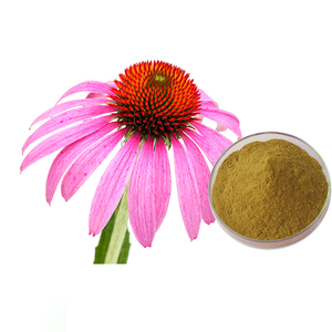 4% chicorique Acide 6% Phénoliques Composés Organique Extrait D'échinacée Poudre Haute Qualité Extrait de Plante Extrait De Fines Herbes - Product Image 1