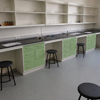 Table de laboratoire multi-rangements anti-éclaboussures avec plan de travail en résine époxy pour préparation d'échantillons et mobilier de laboratoire médical