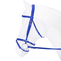 Bridon de cheval en PVC à double bride, confortable, durable et imperméable, coloré, vente en gros, offre spéciale