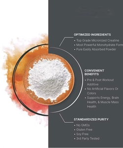 Creatine Monohydrate xây dựng cơ bắp thể thao bổ sung trước khi tập luyện Micronized Creatine monohydrates bột - Product Image 2