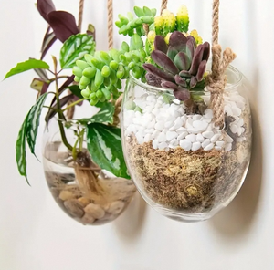 Großhandel Glas-Hänge-<span class=keywords><strong>Terrarium</strong></span> Vase <span class=keywords><strong>Terrarium</strong></span>-Glasbehälter Blumentöpfe für Sukkulenten Heim- und Gartendekoration - Product Image 2