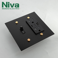 Prise murale USB Type-C Niva American Standard avec interrupteur en laiton moleté, personnalisable, multifonction, panneau en laiton de type 118