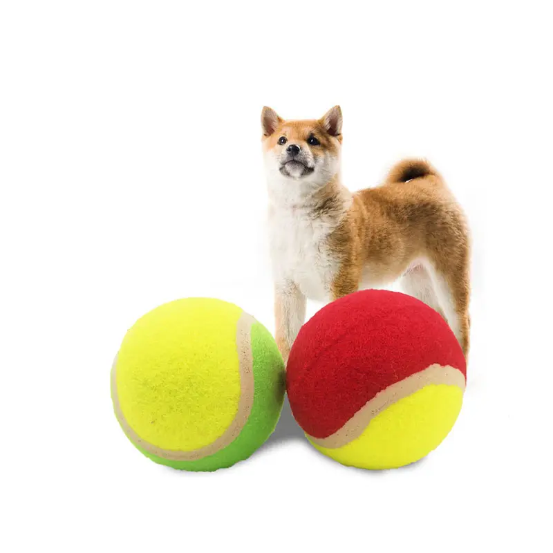 공장 가격 맞춤형 포장 풍선 애완 동물 테니스 야구 개 훈련 장난감 공 인터랙티브 애완 동물 장난감