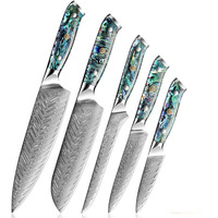 Couteau de chef en acier inoxydable Damas, ensemble de couteaux de cuisine 5 pièces, Santoku, couteau à fruits, couteau à désosser, couteau à trancher la viande, manche en coquille d'ormeau, 19 cm