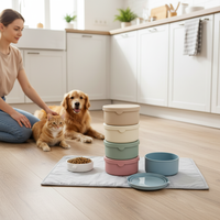 Boîte à lunch classique en silicone souple personnalisée, de qualité alimentaire, réutilisable et écologique, pour plats chauds – Vente en gros