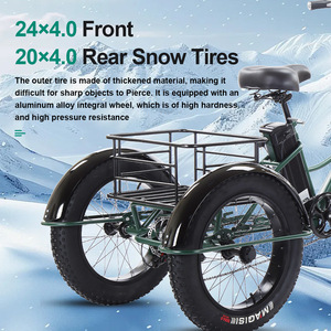 WOWI Triciclo Eléctrico Cheetah de 24 Pulgadas con Motor, Asistencia al Pedaleo, Neumáticos Gruesos, Carrocería Abierta, Carga Útil de 200-300 kg, <span class=keywords><strong>12V</strong></span> - Product Image 3