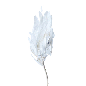 ดอกไม้<span class=keywords><strong>ลาบ</strong></span><span class=keywords><strong>ลาบ</strong></span>์อบแห้งแบบถาวร ทำมือ DIY ตกแต่งห้องรับปริญญา ใช้งานได้นาน 3-5 ปี จากโรงงานยูนนานโดยตรง - Product Image 3