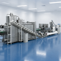 Usine de production de riz multigrains nutritif à haut rendement, ligne de production de riz instantané fortifié, système d'extrusion complet