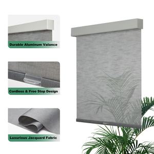 Persianas enrollables inalámbricas Persianas opacas para ventanas Habitación Luz suave, persianas enrolladas con sistema de resorte - Product Image 2