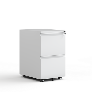 Gabinete de exhibición de acero de 2 capas con cerradura Estuches de tienda minorista Juego de herramientas Ruedas para archivar Lateral para almacenar coleccionables - Product Image 5