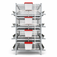 Système de cages automatiques en H pour poulets pondeurs, pour fermes avicoles, avec conception multi-niveaux et équipement de nettoyage du fumier