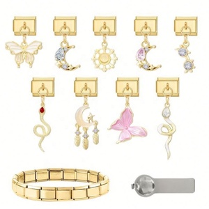 Cross-Border Hot Pink Series Gold Pendant DIY Stainless Steel <b>Bracelet</b> Italian Module Accessories for Fashion Charm <b>Bracelets</b> - Product Image 2