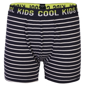 Vente en gros de sous-vêtements boxer en tissu doux et confortable pour enfants logo personnalisé en spandex/<span class=keywords><strong>coton</strong></span> pour garçons respirant sur la taille - Product Image 2