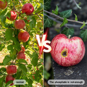 Boden npk sensor <span class=keywords><strong>tester</strong></span> für garten pflanzen, boden analysator für npk,npk boden gerät - Product Image 6