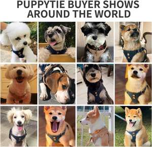 ドッグリーシュ付きプルドッグハーネスなし、軽量ペットハーネスベスト、ソフトアジャスタブルチョークエスケーププルーフなしかわいいドッグハーネス - Product Image 6