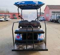Voiturette de golf électrique tout-terrain sur mesure en gros, buggy de golf électrique personnalisable pour diverses situations
