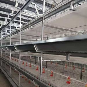 Meilleure vente pas cher prix 4 niveaux 96 oiseaux chaque ensemble H Type entièrement automatique batterie de poulets de chair poulet volaille système de <span class=keywords><strong>cage</strong></span> pour Oman - Product Image 2