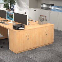Armoire basse en acier pour salle de conférence, classeur de bureau haute capacité avec serrure, design moderne et minimaliste, compartiments amovibles pour