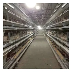 Rabatt Hühnerkäfig Hühnerfarm H-Typ-Batteriekäfig Philippinen verzinkte Pakistan-Schicht Hühnerkäfig Geflügelfarm