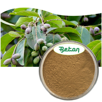 Poudre de haute qualité Terminalia Chebula extrait d'Haritaki poudre d'extrait de fruits Myrobalan 95%