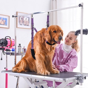 Laisse Flexible Réglable Pvc / Nylon Chat Chien Groom Boucle pour Table Bras Rallonge avec <span class=keywords><strong>Pince</strong></span> Extension Boucle Bain Retenue - Product Image 4