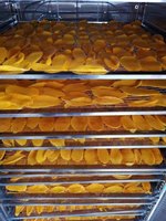 Commercieel Thuisgebruik Commercieel Gebruik 220V Fruit Dehydrator Groentesnacks Vlees Fruit Voedsel Droger