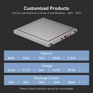 แบตเตอรี่โซลิดสเตต15kWh 300Ah wiren W48300 48V | 6000รอบ | ความปลอดภัยสูง | -20 ~ 60 | oM/odm - Product Image 5