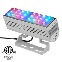 Chine 50W 100W 200W 300W AC110V DC24V IP67 extérieur DMX sans fil ETL répertorié RGB RGBW lumière LED lumière d'inondation