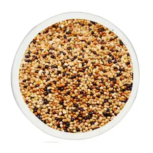 Broomcorn Millet Nourrit Animal Mélange de graines pour oiseaux Nourriture pour oiseaux