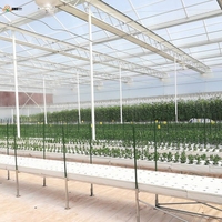 Film de serre diffuseur de lumière à 7 couches, résistant aux UV, anti-goutte et anti-buée, pour fleurs et plantes ornementales - Vente en gros