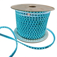 Bande lumineuse LED néon flexible DC24V en PVC, étanche IP68, télécommande, puce Epistar, Ra85, durée de vie de 50 000 heures, 60 lumières/m