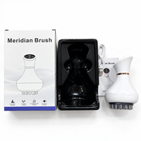 Brosse de massage rechargeable, masseur corporel électrique, masseur portable chauffant et vibrant, anti-cellulite, logo personnalisé