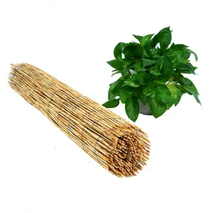 Hot Selling Reed Fence 4m Bamboo Fence Panels Garden