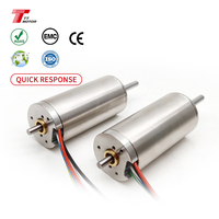Motor de CC Sin Núcleo Bldc de Alta Potencia y Larga Vida Útil de 12v 24v 48v Mini Micro