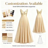 Robe de soirée longue pour femme, sans manches, col en V, broderie de sequins, en tulle, avec ceinture en satin, coupe trapèze, style Empire drapé