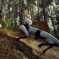 Chien robot IA pour compagnie à domicile, divertissement, éducation et interaction intelligente BOBO