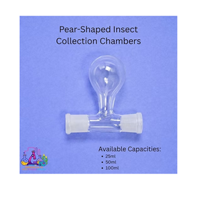 Chambre de collecte d'insectes innovante en forme de poire, conteneur transparent pour l'observation des spécimens, pour la recherche et l'éducation en entomologie - Product Image 1