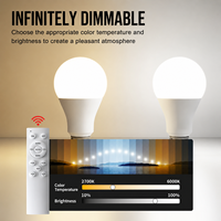 Ampoule LED intelligente à télécommande infrarouge 2,4 G A60 E27 à vis, gradation infinie, éclairage intérieur domestique