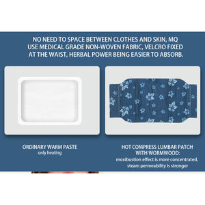Patch lombaire à compresse chaude de qualité professionnelle OEM ODM Patches en plâtre pour diverses applications Packs chauds et froids - Product Image 2