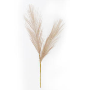 Herbe de la pampa réaliste à deux branches, faite à la main, décoration de mariage moderne, fleurs séchées en soie, roseaux artificiels transfrontaliers - Product Image 5