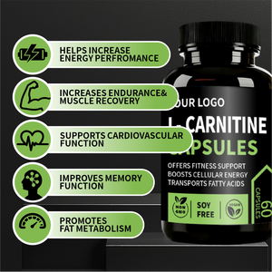 Capsule Dimagranti OEM ODM Halal GMP, 60 Capsule Brucia Grassi, Prodotto per la Gestione del Peso con L-Carnitina - Product Image 4