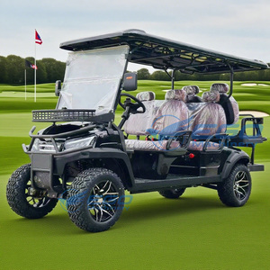 Voiturette de golf électrique tout-terrain surélevée 6 places, populaire et économique, pour le tourisme et les utilités - Product Image 2