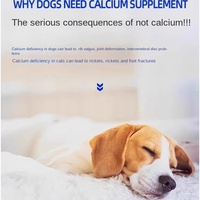 Comprimés de calcium au lait pour chats et chiens, protection des articulations, nutrition spéciale pour les races grandes, moyennes et petites