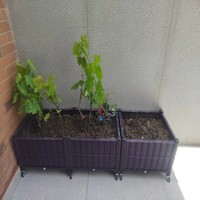 Jardinière rectangulaire surélevée en rotin PP écologique, durable et légère, avec roulettes