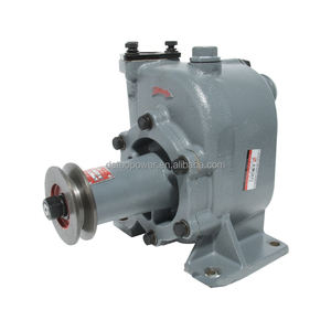 שאנגצ 'אי מנוע דיזל חלקי חילוף sc9df sc9dk220.1g3 sדק משאבת מים דיזל 00020626 s00020626 + 03 - Product Image 5