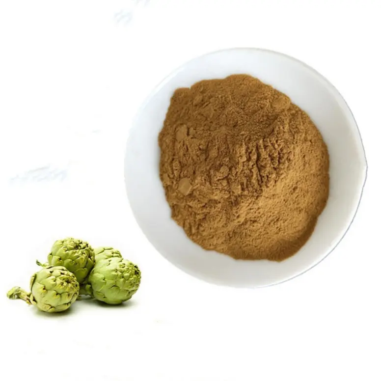 Yang Ji diskon besar bubuk ekstrak daun Artichoke Cynarin alami 2.5%